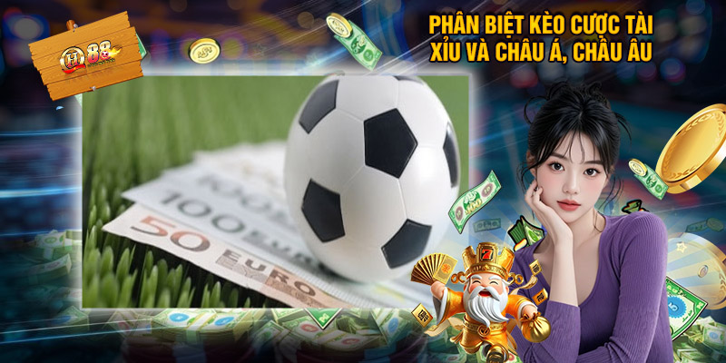 Vì Sao Cược Thủ Nên Soi Kèo Tài Xỉu Tại QH88?